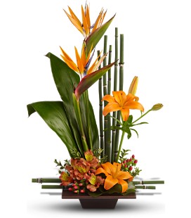 Striking high style fresh flower arrangement in warm autumn colors.